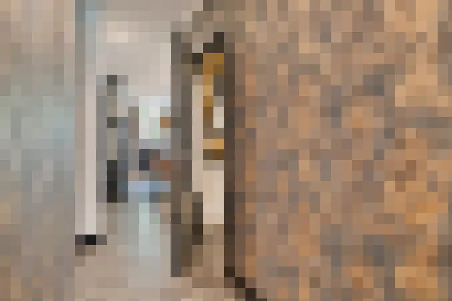 Hoeksekade 55 Bergschenhoek thumbnail 10