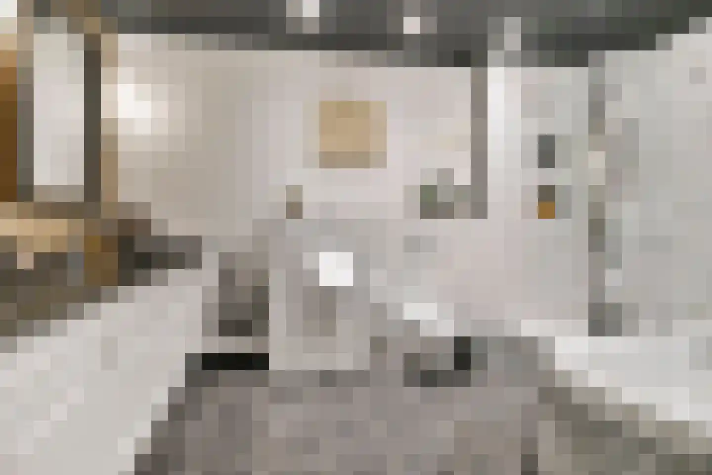 Hoeksekade 55 Bergschenhoek thumbnail 11
