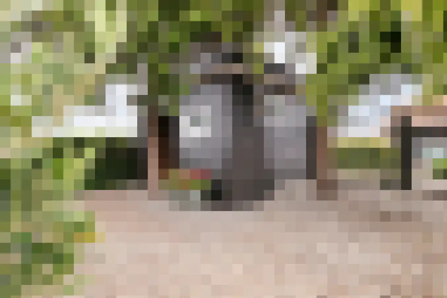 Hoeksekade 55 Bergschenhoek thumbnail 23