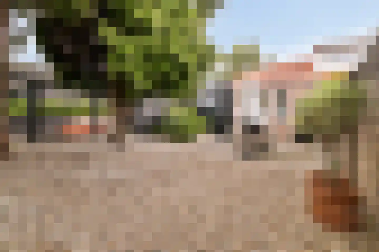 Hoeksekade 55 Bergschenhoek thumbnail 24