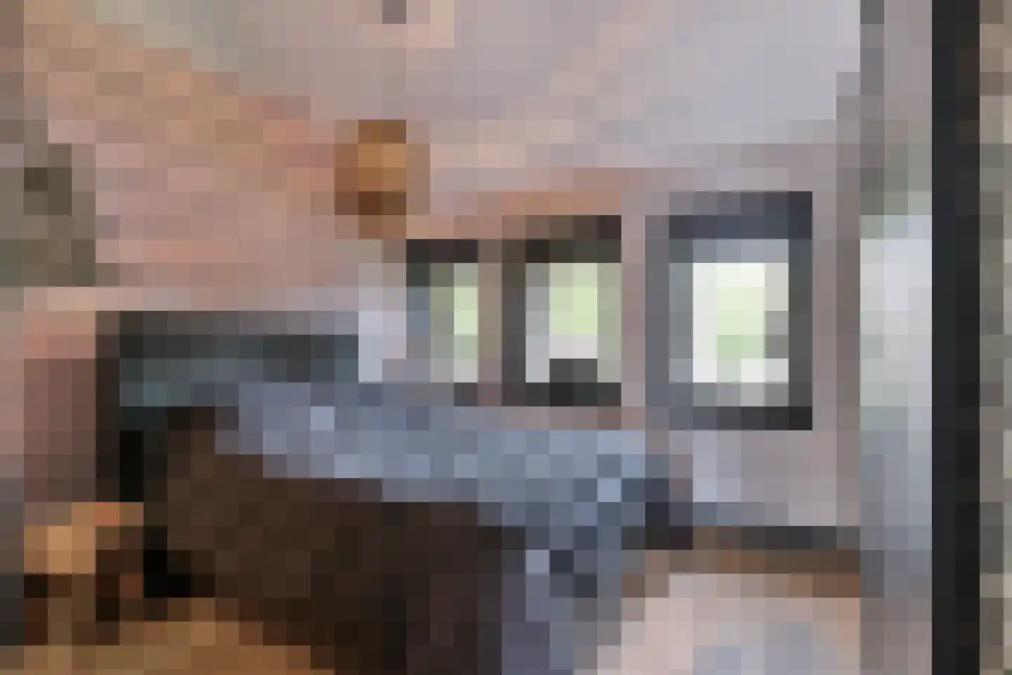 Hoeksekade 55 Bergschenhoek thumbnail 29