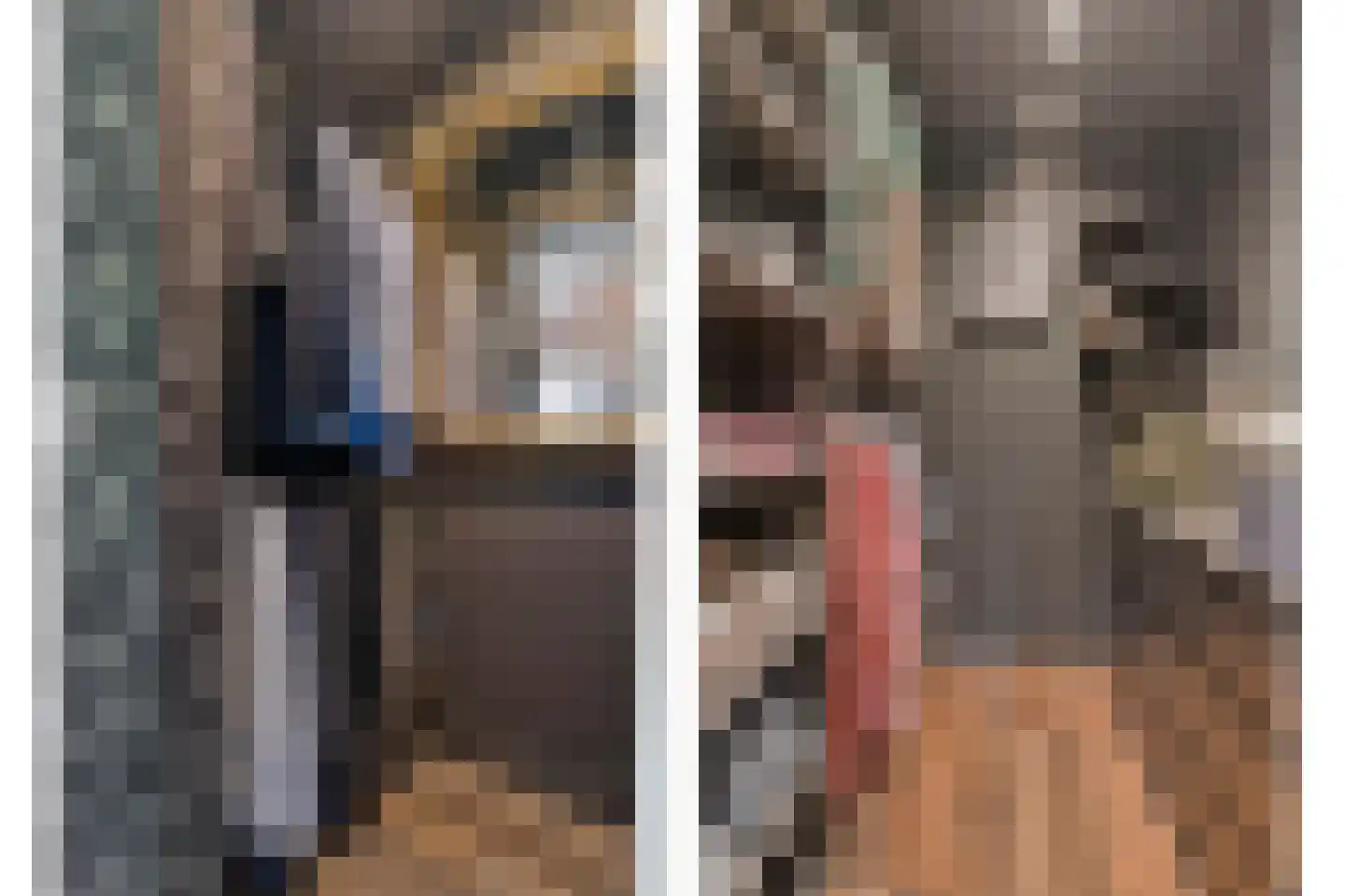 Hoeksekade 55 Bergschenhoek thumbnail 31