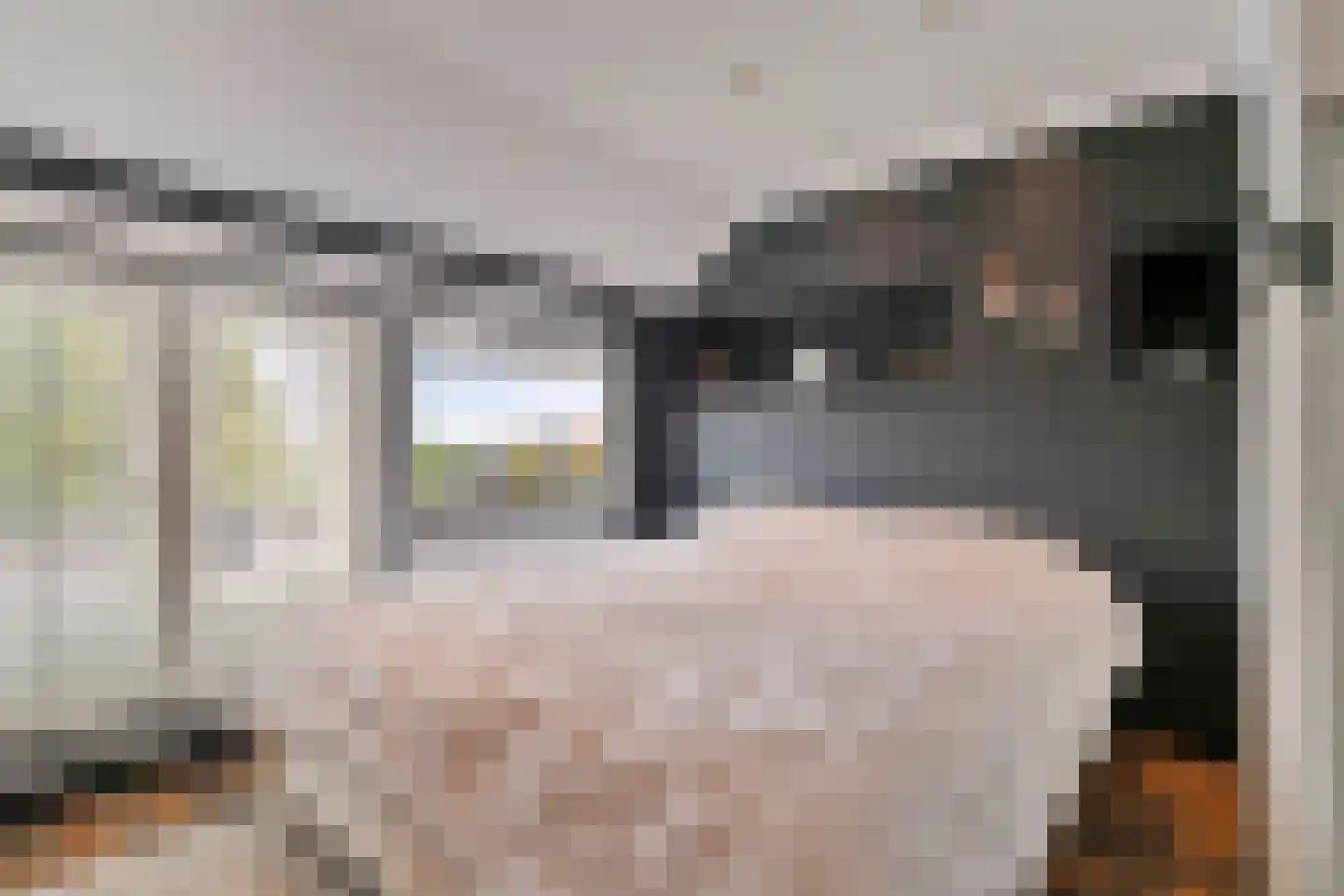 Hoeksekade 55 Bergschenhoek thumbnail 33