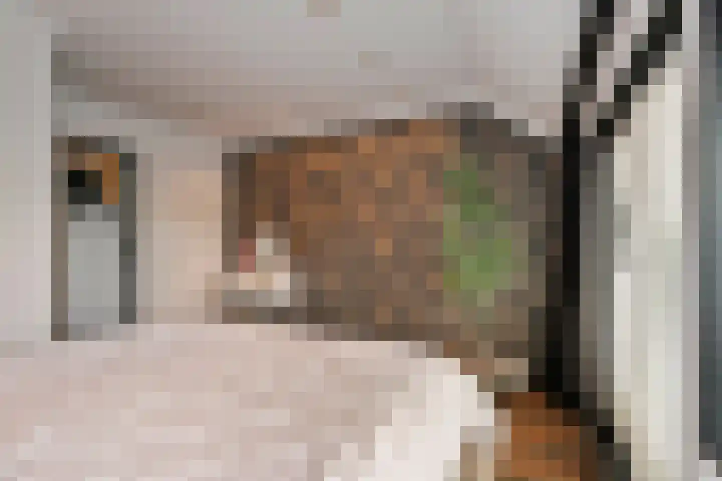 Hoeksekade 55 Bergschenhoek thumbnail 36