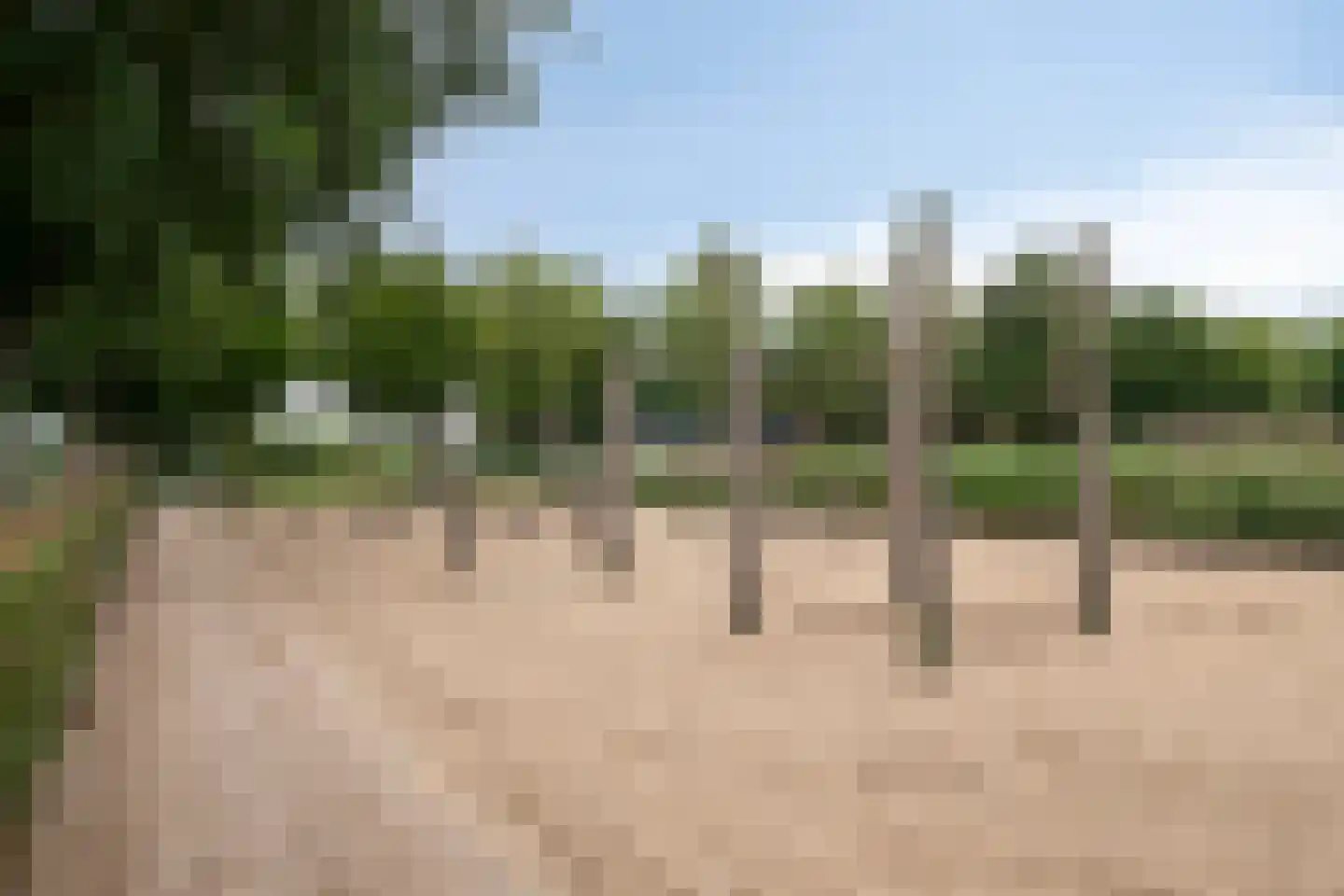 Hoeksekade 55 Bergschenhoek thumbnail 39