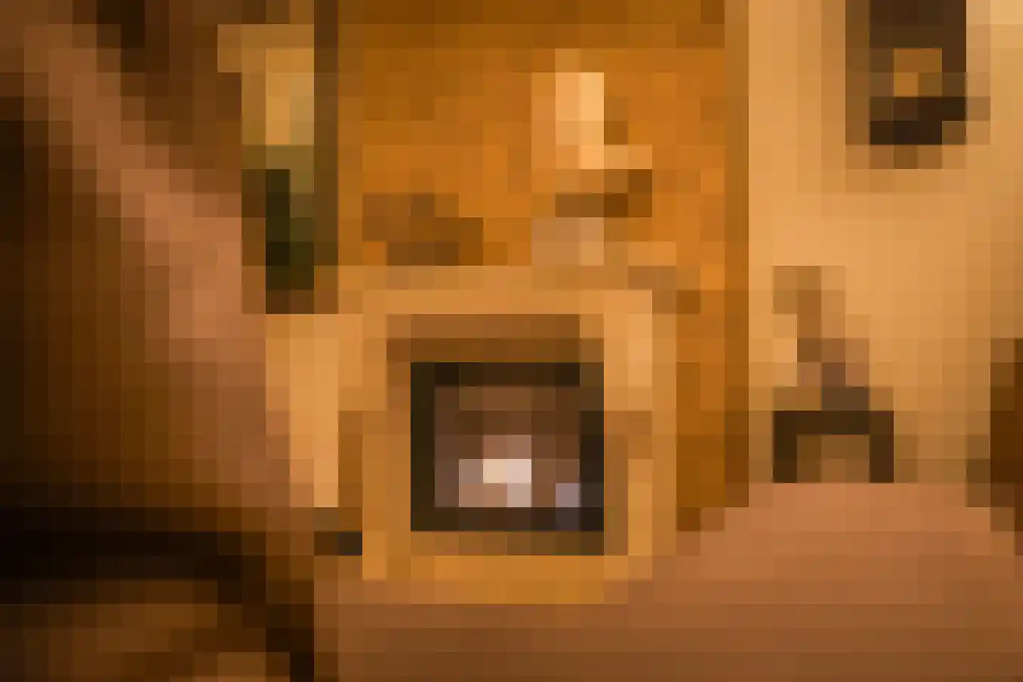 Hoeksekade 55 Bergschenhoek thumbnail 9