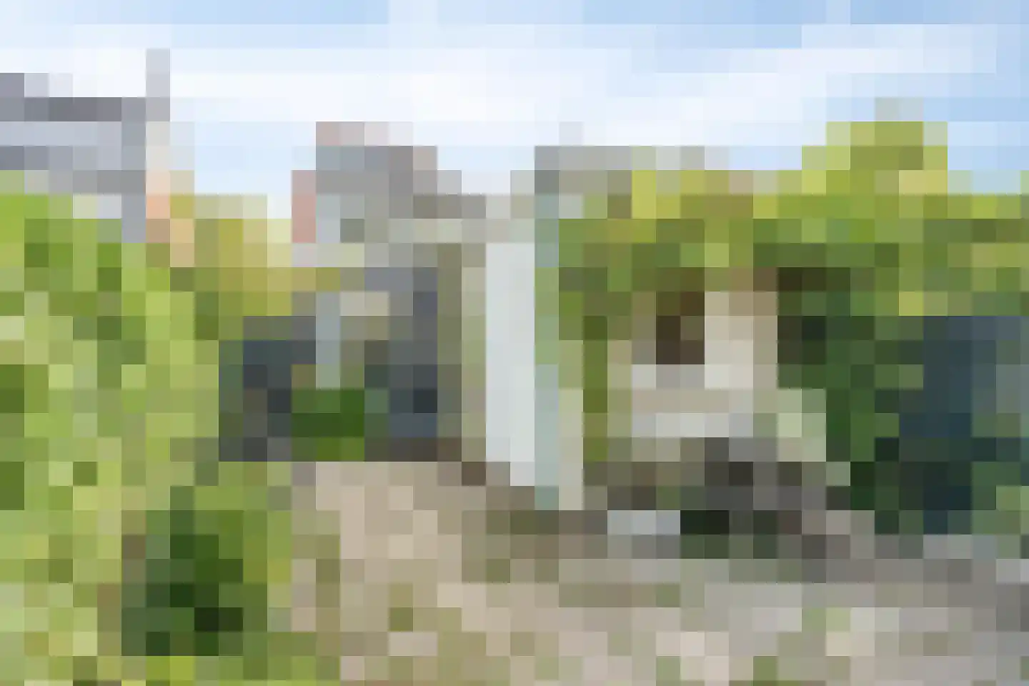 Hoeksekade 92 Bergschenhoek thumbnail 22