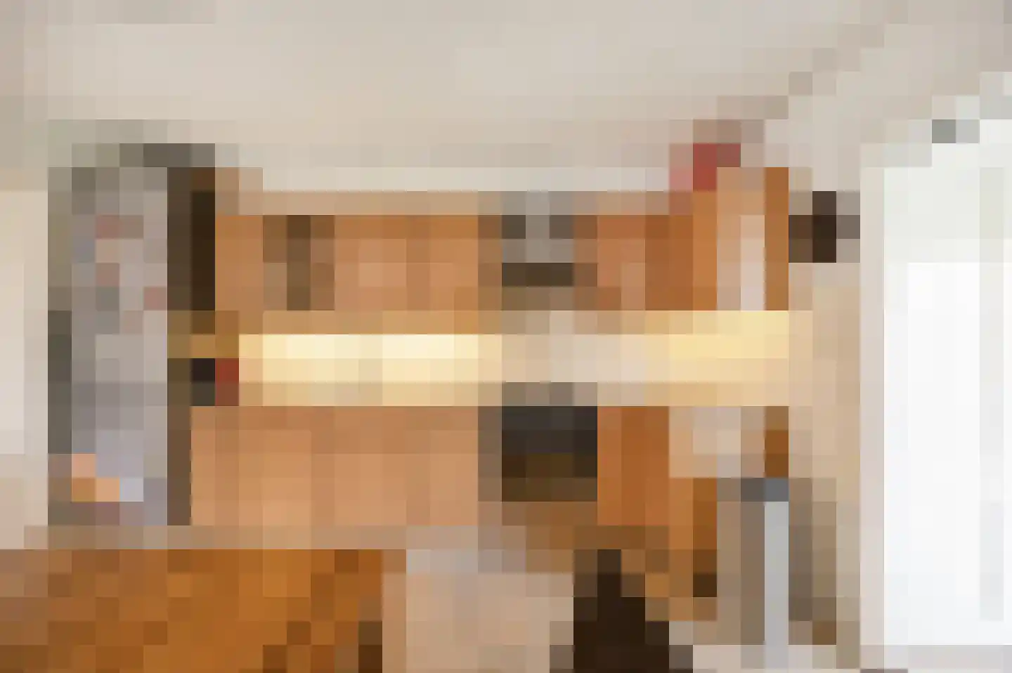 Hoeksekade 92 Bergschenhoek thumbnail 9