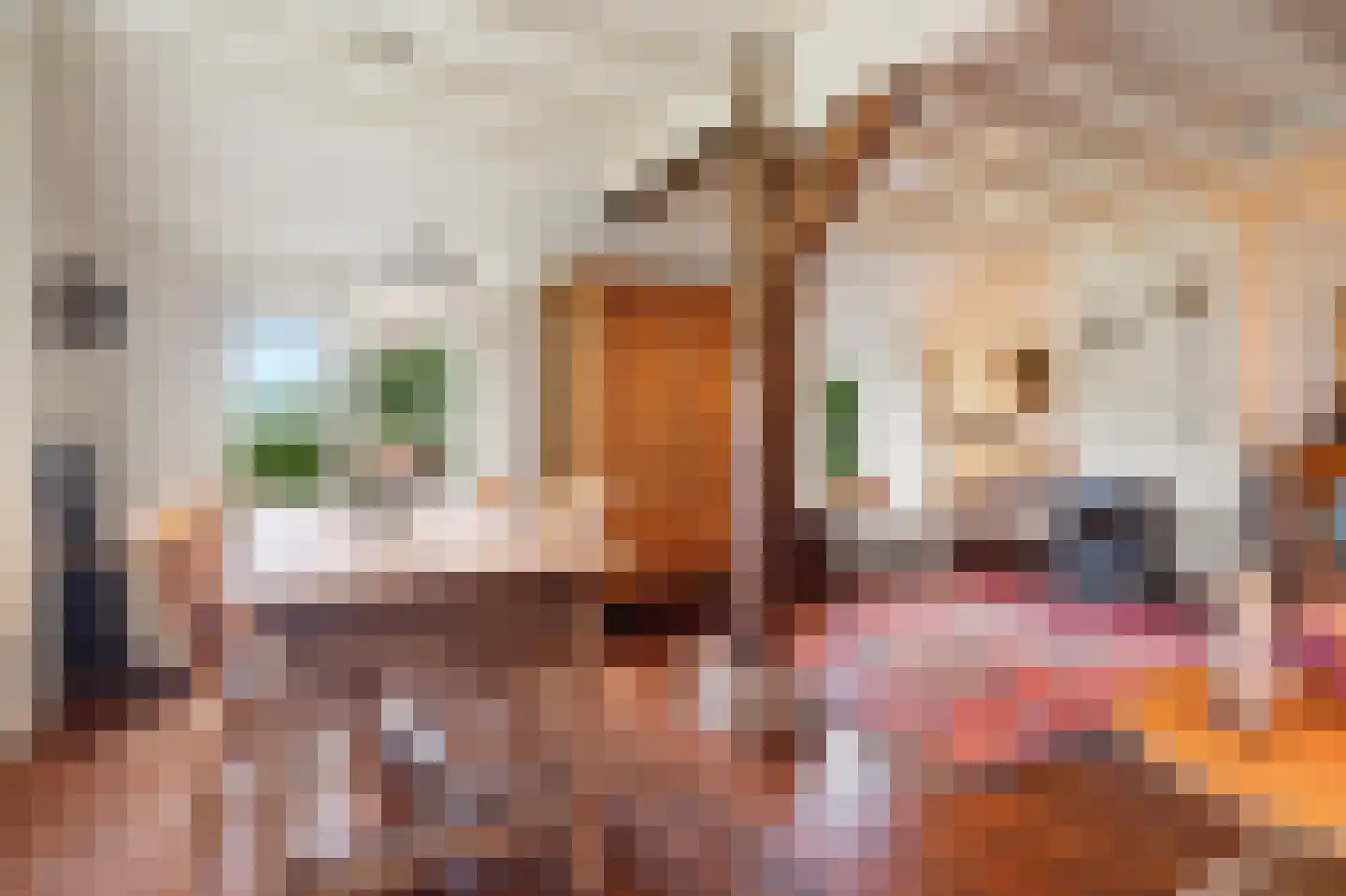 Hoeksestraat 2 Cromvoirt thumbnail 13