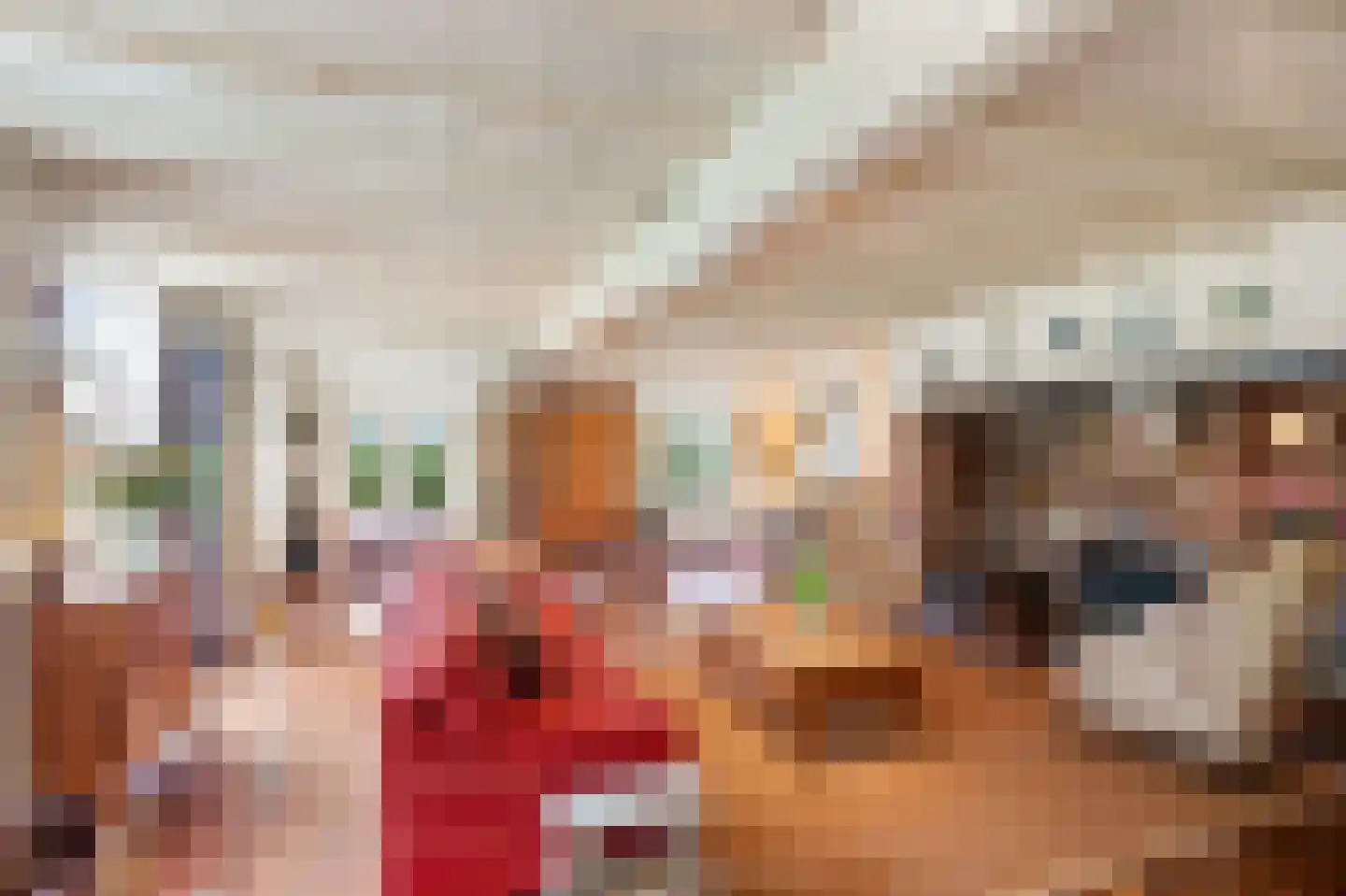 Hoeksestraat 2 Cromvoirt thumbnail 15