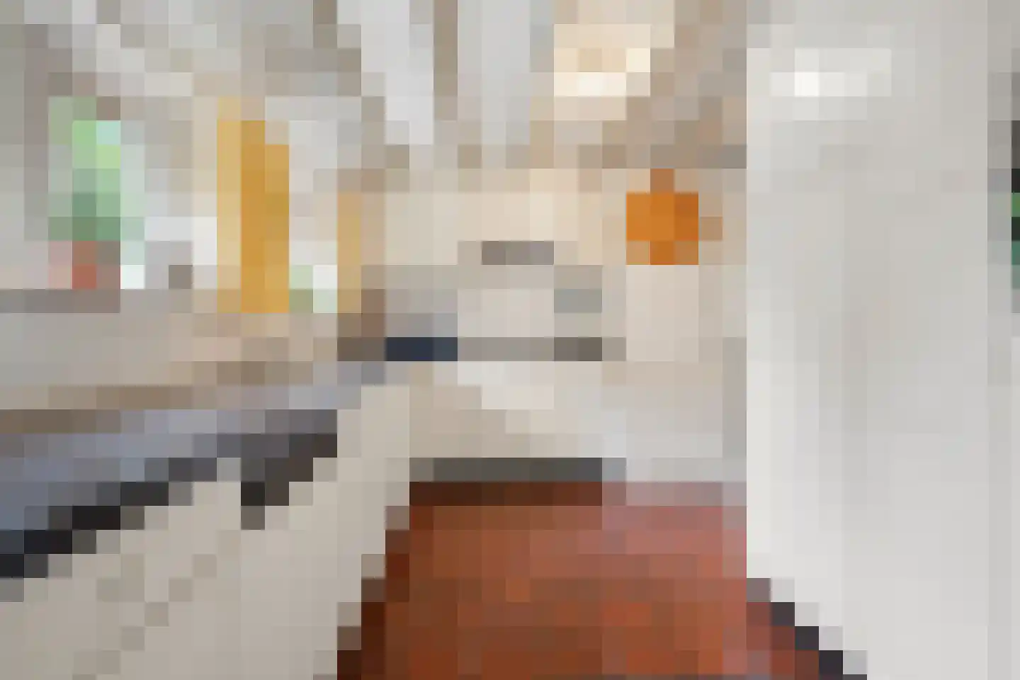 Hoeksestraat 2 Cromvoirt thumbnail 16