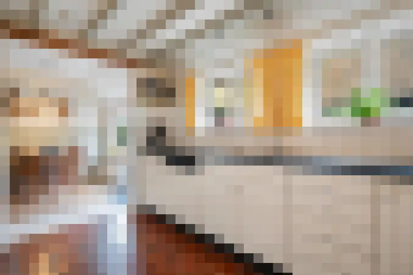 Hoeksestraat 2 Cromvoirt thumbnail 17