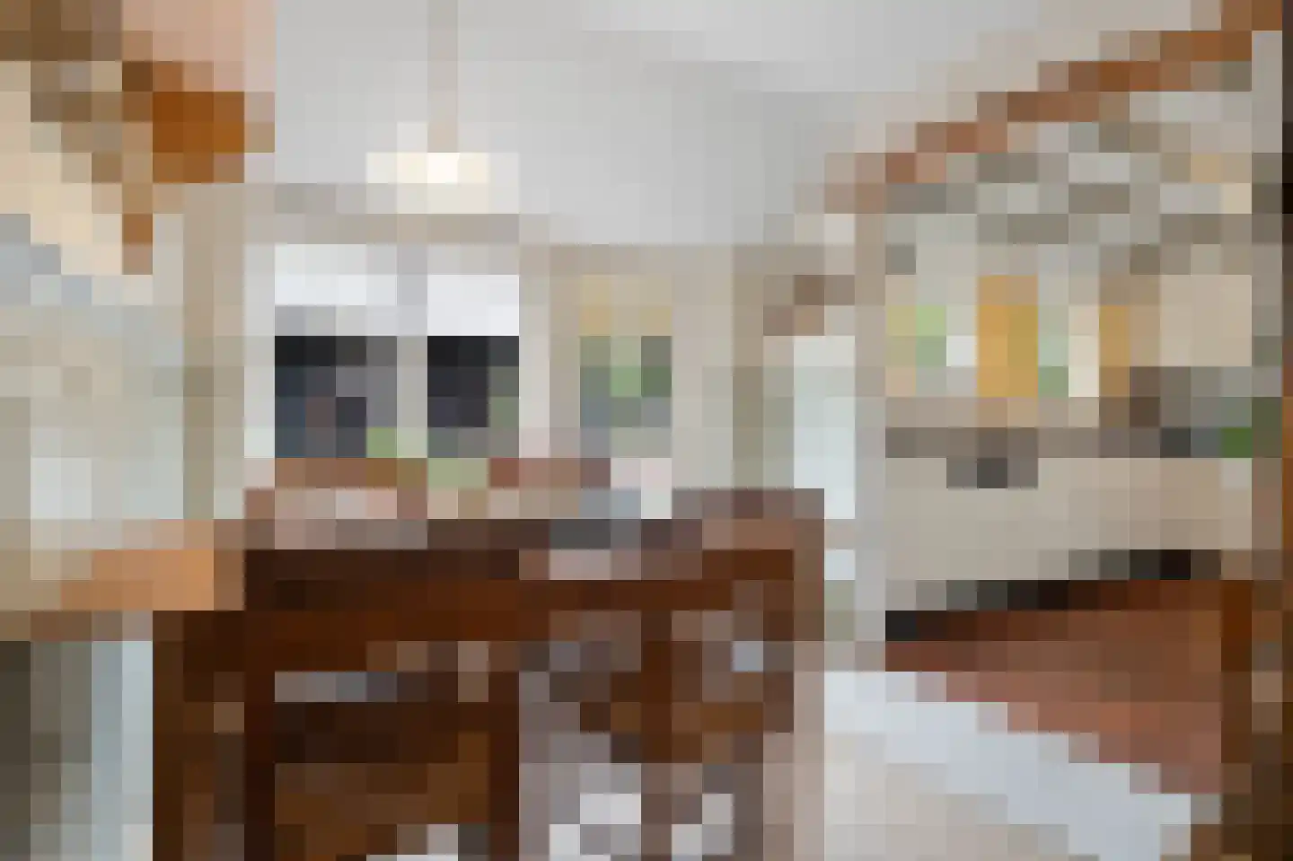 Hoeksestraat 2 Cromvoirt thumbnail 18