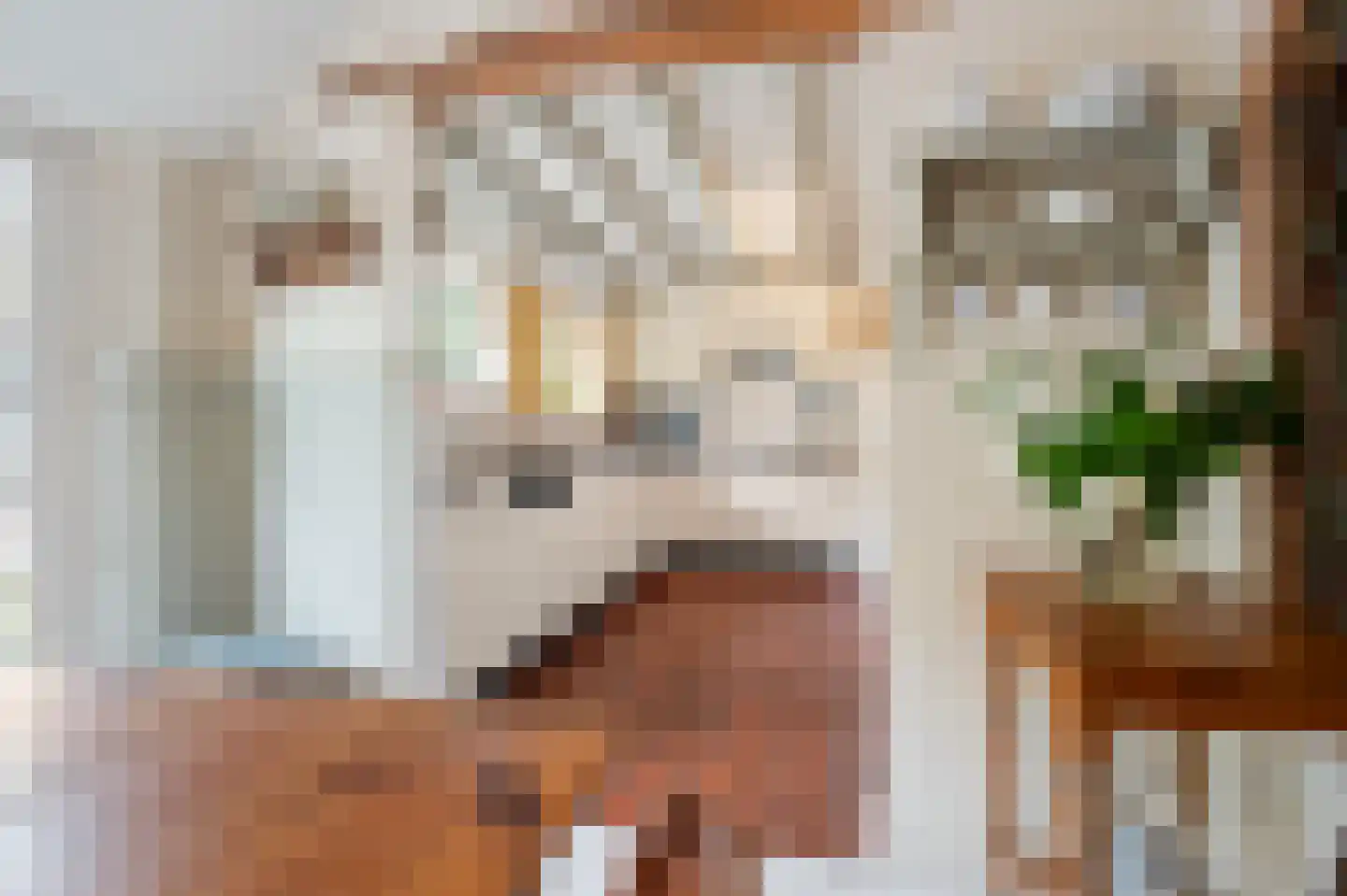 Hoeksestraat 2 Cromvoirt thumbnail 20