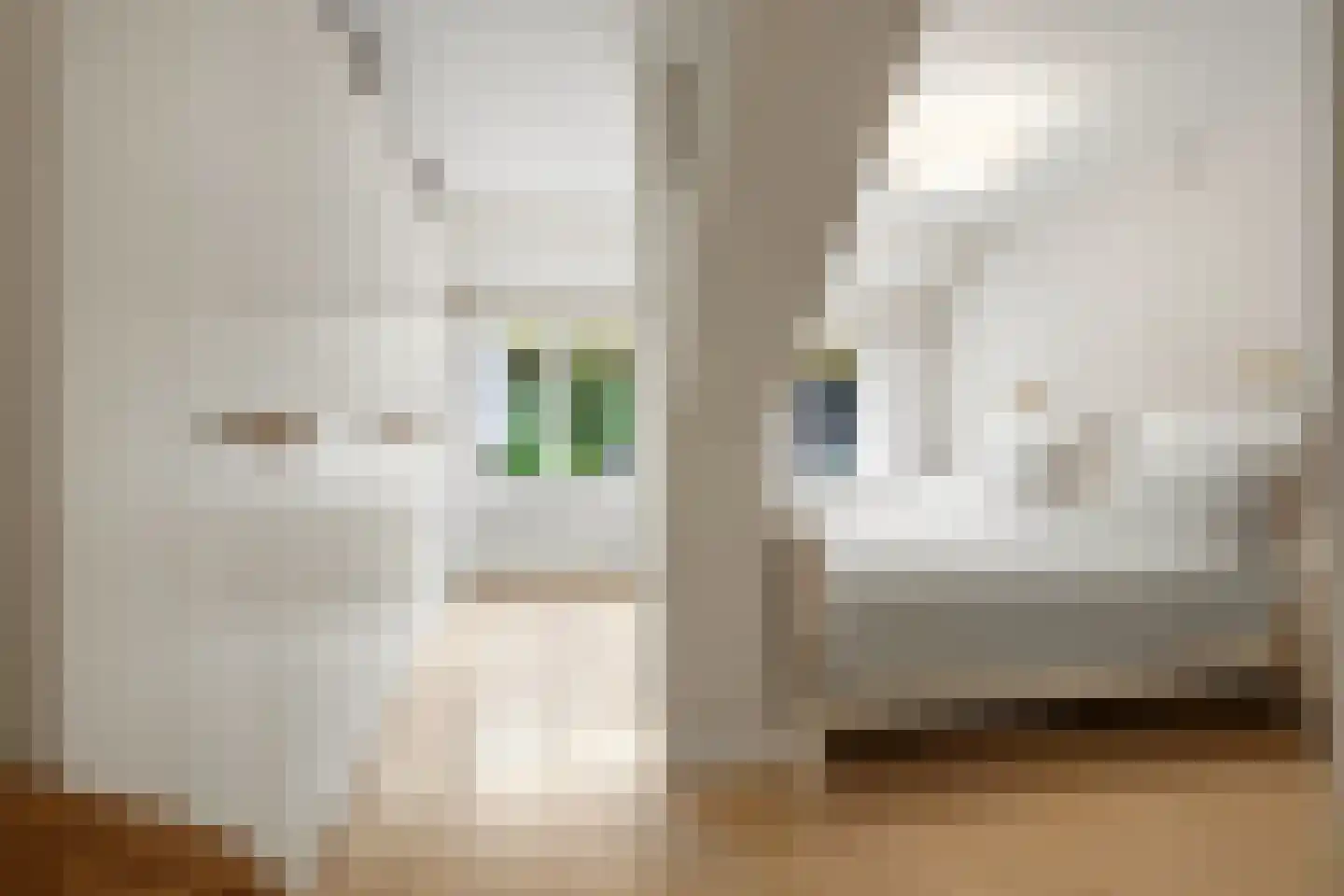 Hoeksestraat 2 Cromvoirt thumbnail 23