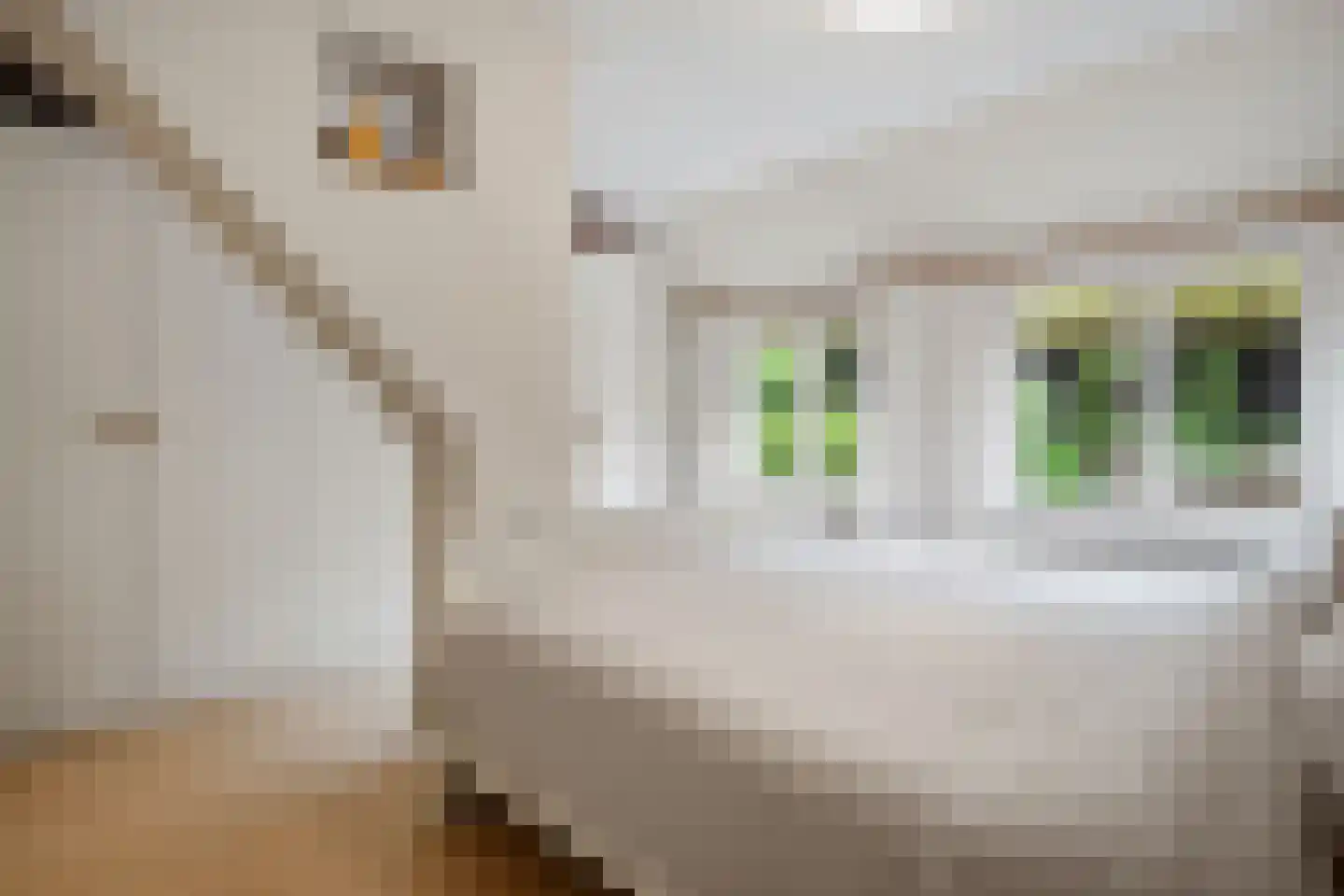 Hoeksestraat 2 Cromvoirt thumbnail 24