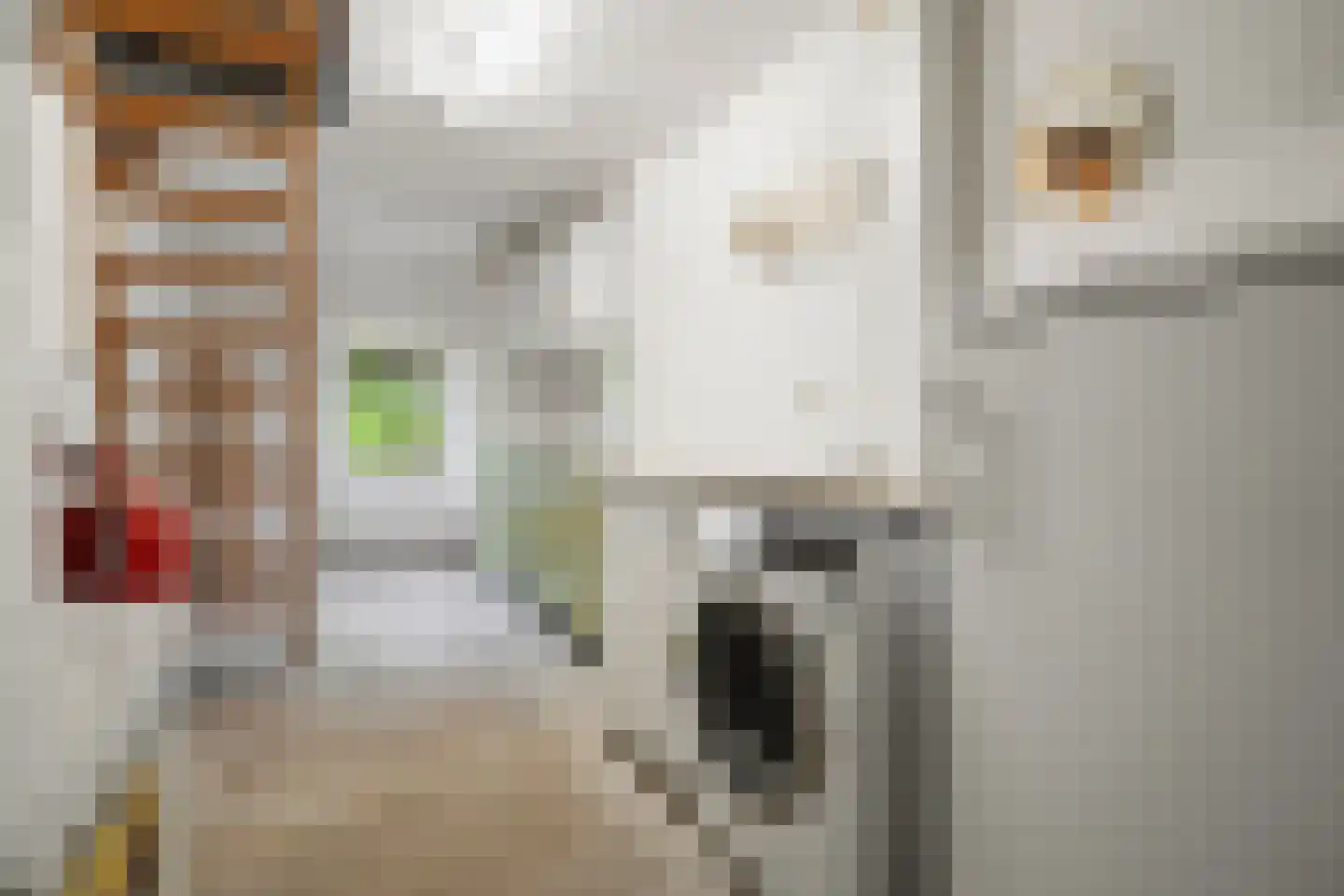 Hoeksestraat 2 Cromvoirt thumbnail 26