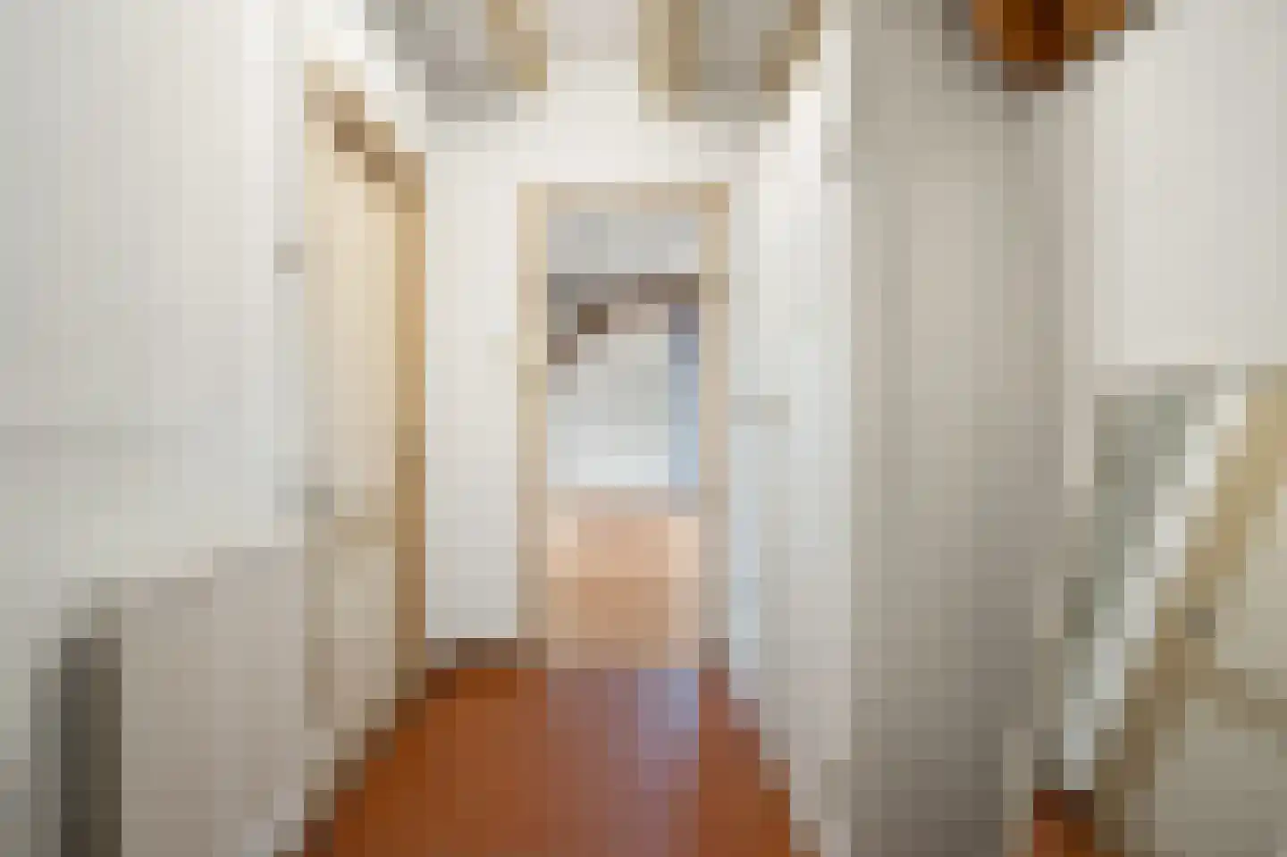 Hoeksestraat 2 Cromvoirt thumbnail 28
