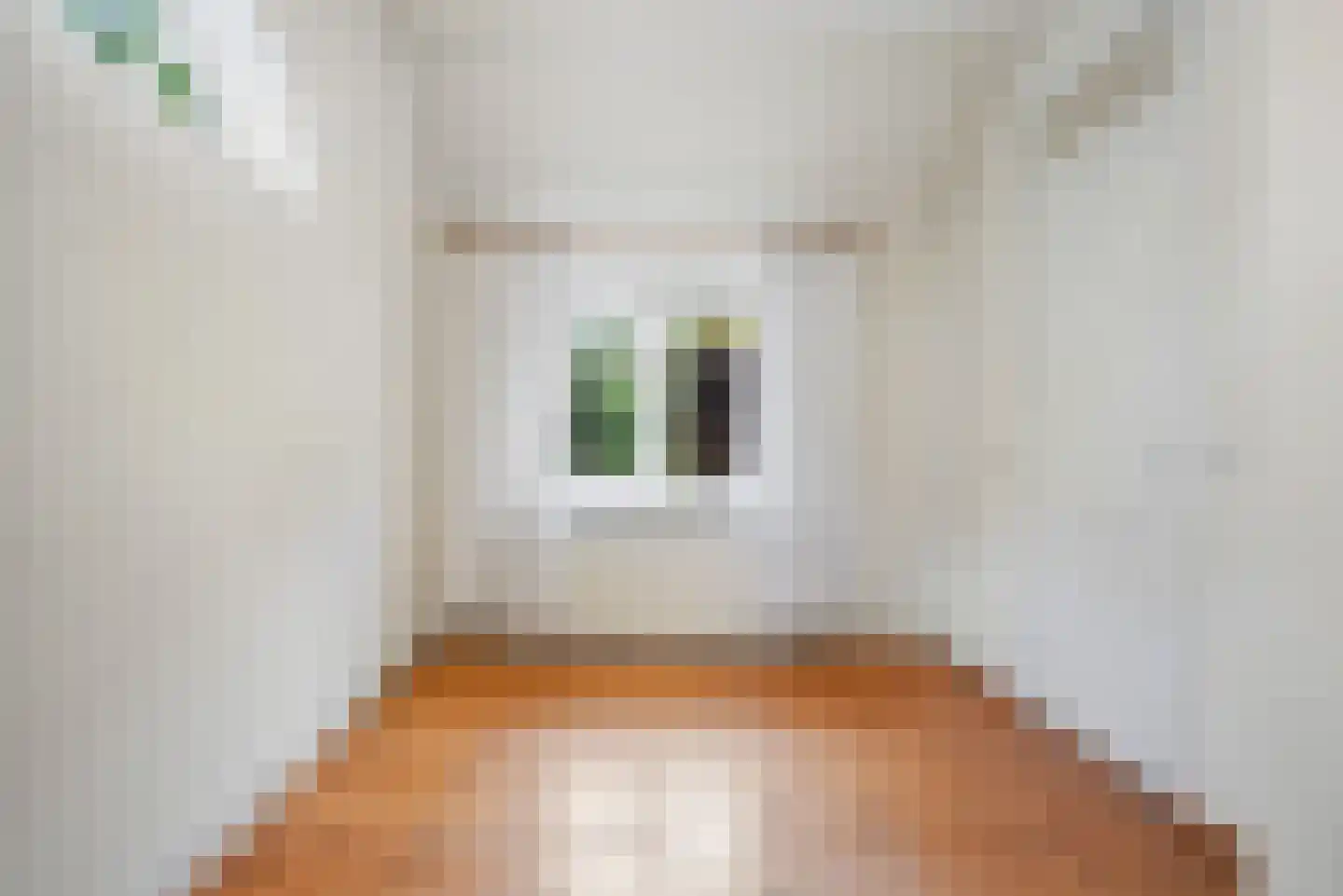 Hoeksestraat 2 Cromvoirt thumbnail 34