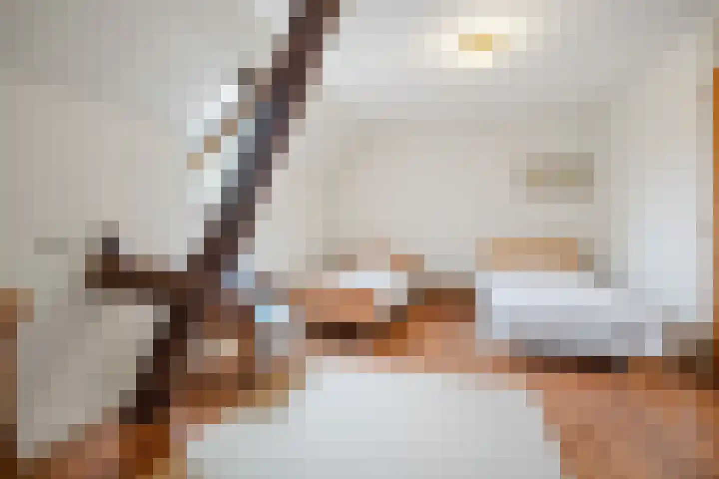 Hoeksestraat 2 Cromvoirt thumbnail 37