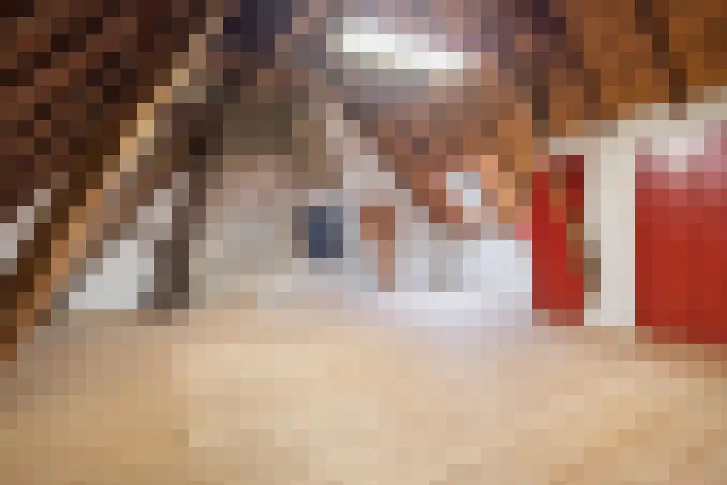 Hoeksestraat 2 Cromvoirt thumbnail 44