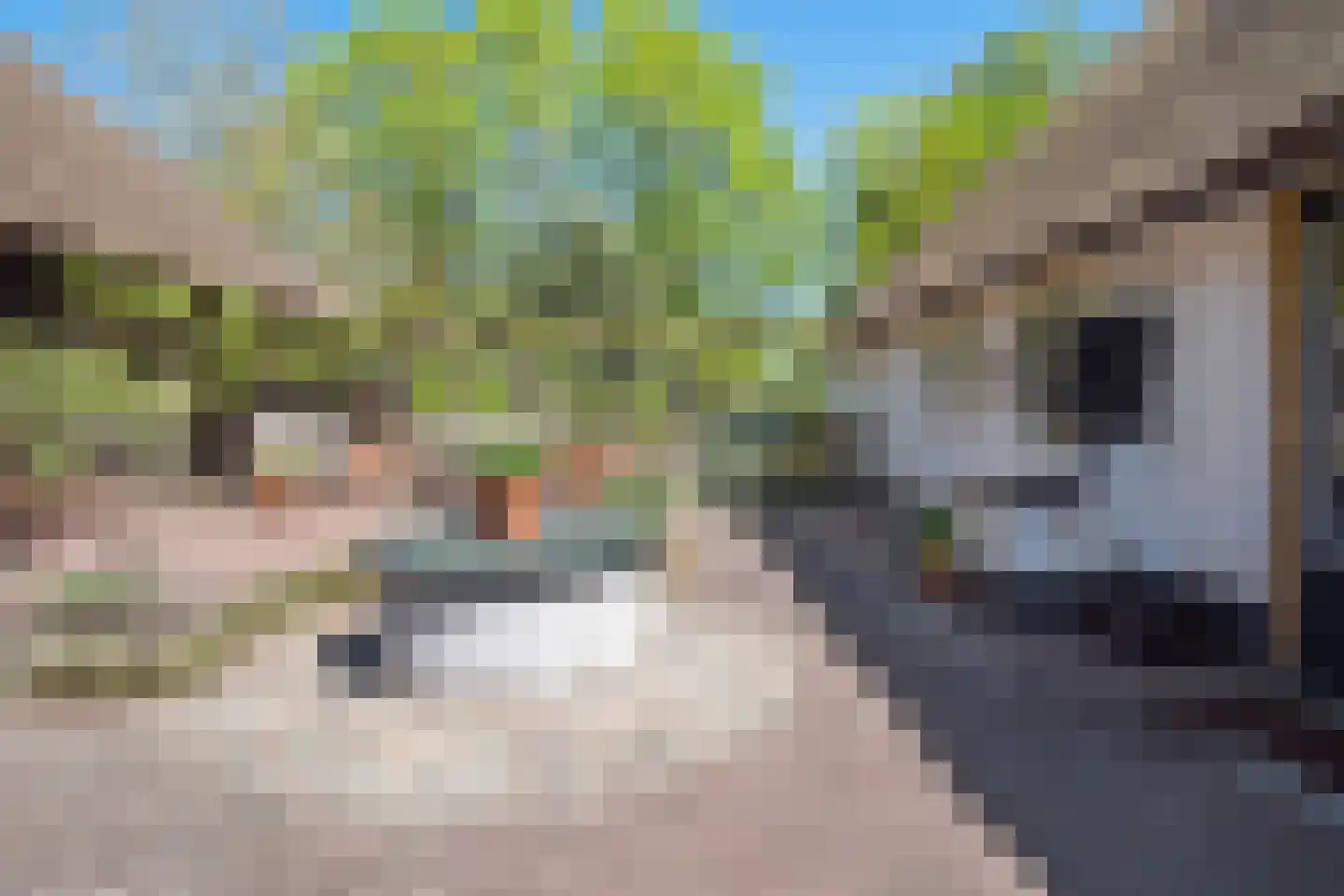 Hoeksestraat 2 Cromvoirt thumbnail 46