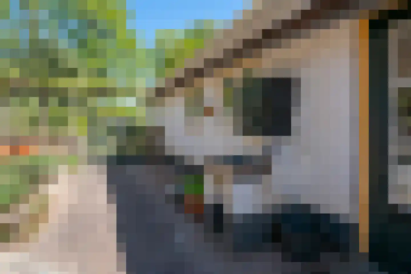 Hoeksestraat 2 Cromvoirt thumbnail 47