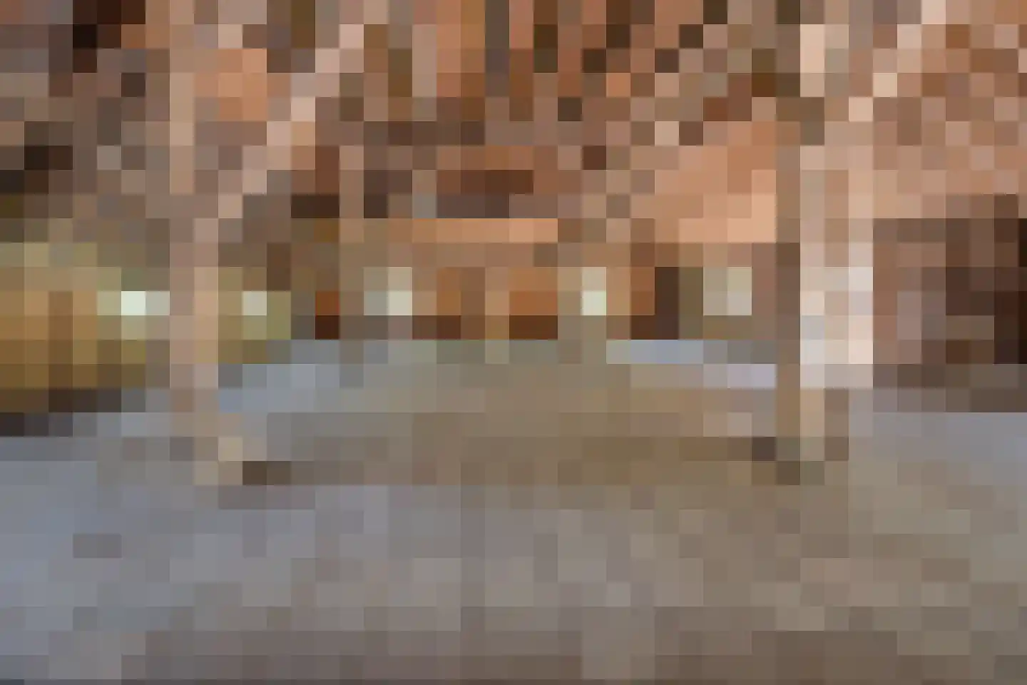 Hoeksestraat 2 Cromvoirt thumbnail 50