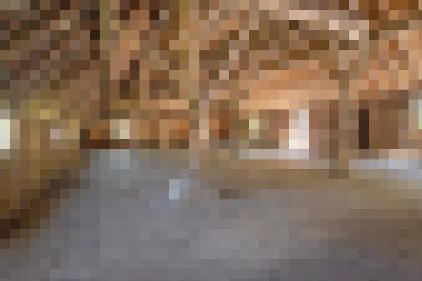 Hoeksestraat 2 Cromvoirt thumbnail 51