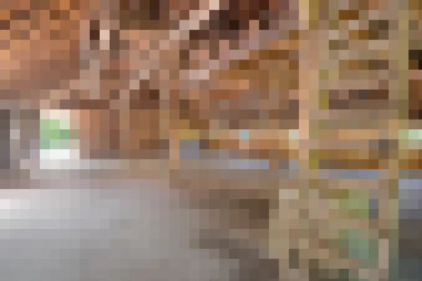 Hoeksestraat 2 Cromvoirt thumbnail 53