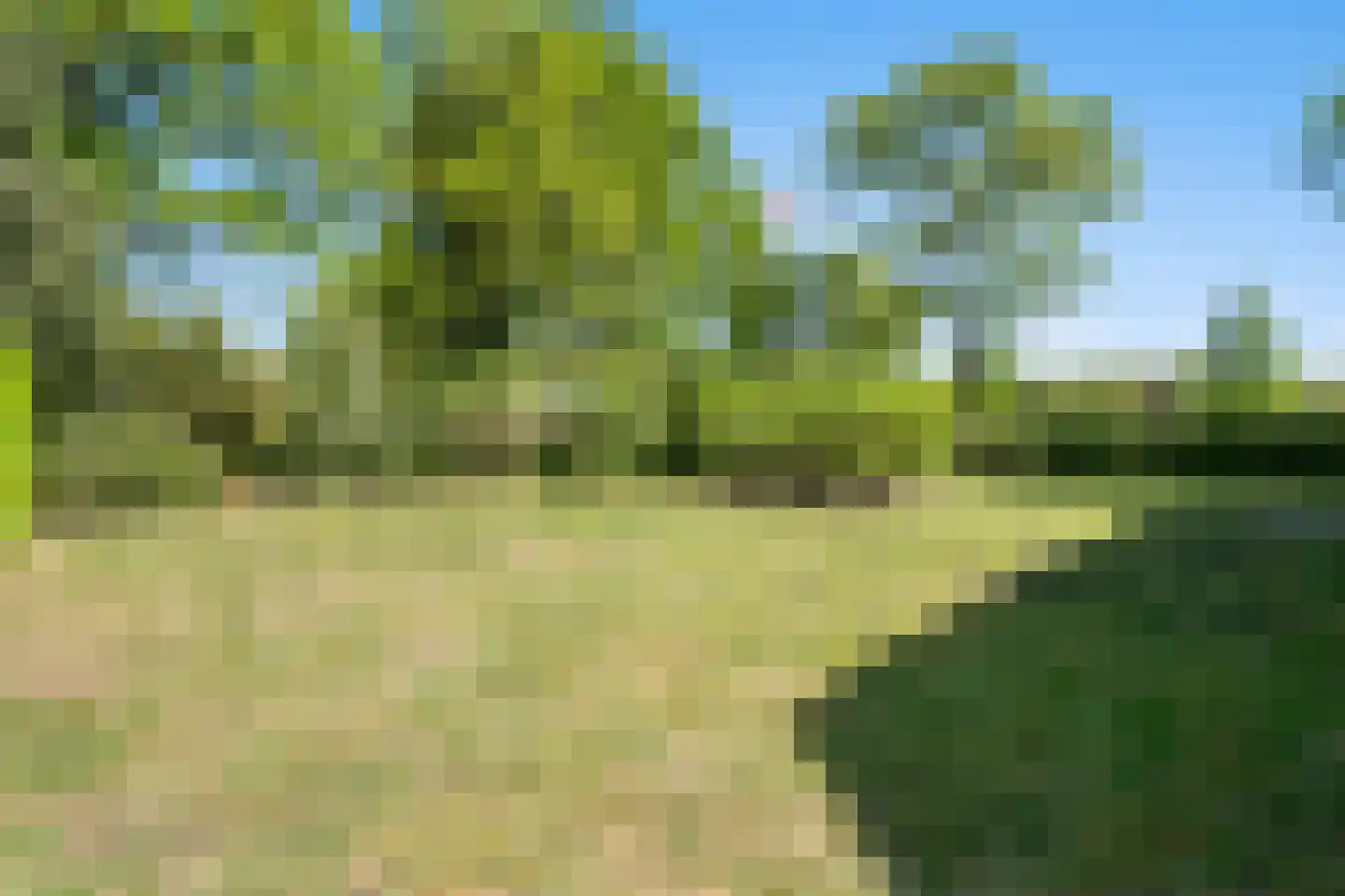 Hoeksestraat 2 Cromvoirt thumbnail 55