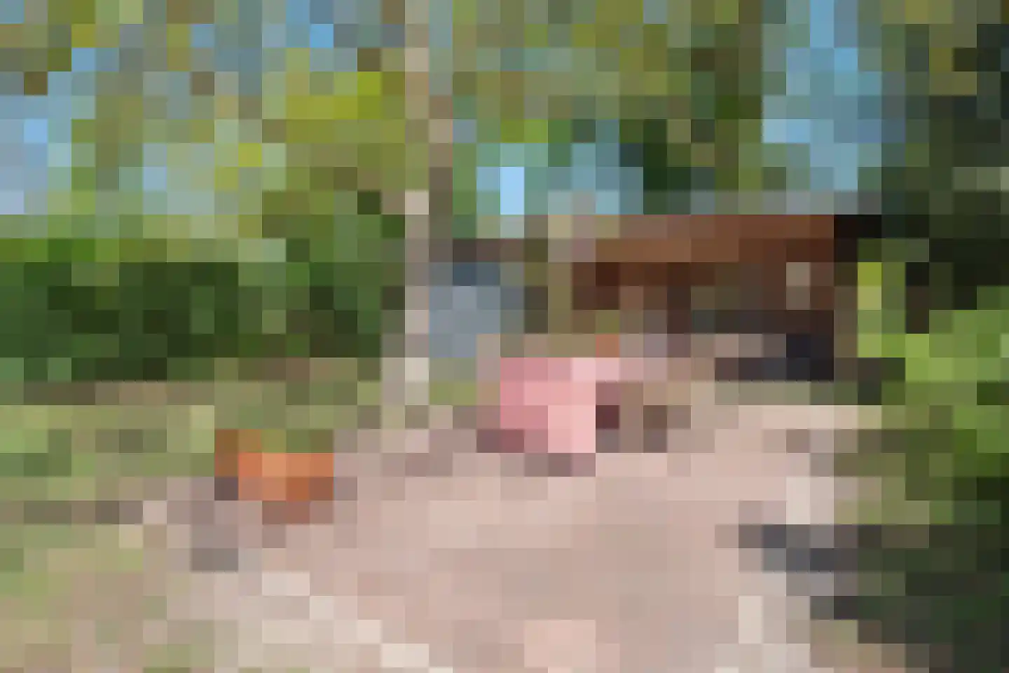 Hoeksestraat 2 Cromvoirt thumbnail 57