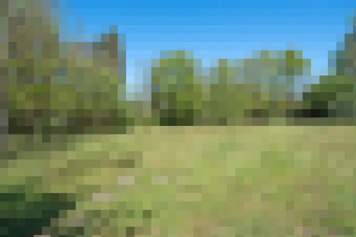 Hoeksestraat 2 Cromvoirt thumbnail 58