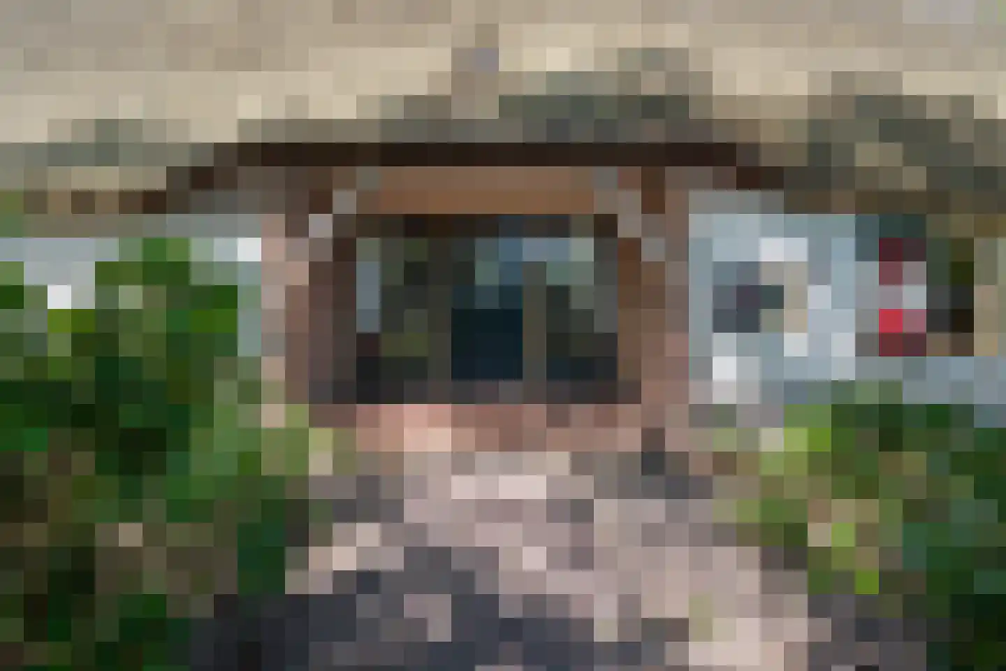 Hoeksestraat 2 Cromvoirt thumbnail 6