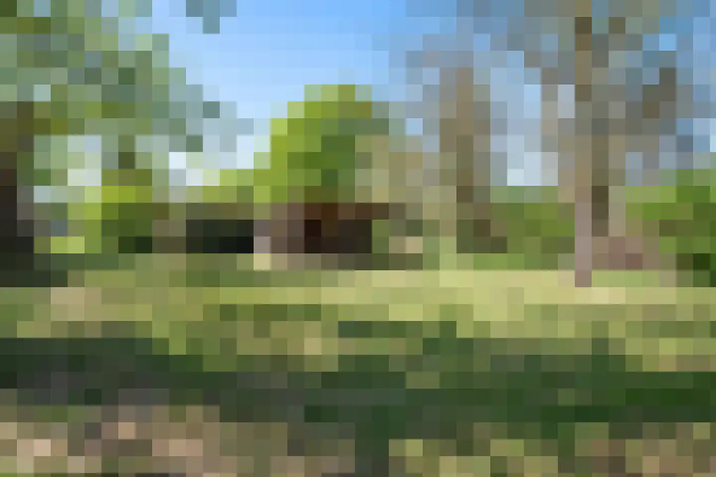 Hoeksestraat 2 Cromvoirt thumbnail 61