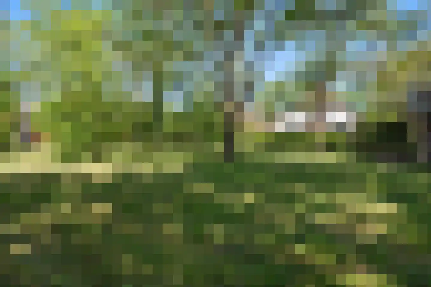 Hoeksestraat 2 Cromvoirt thumbnail 66