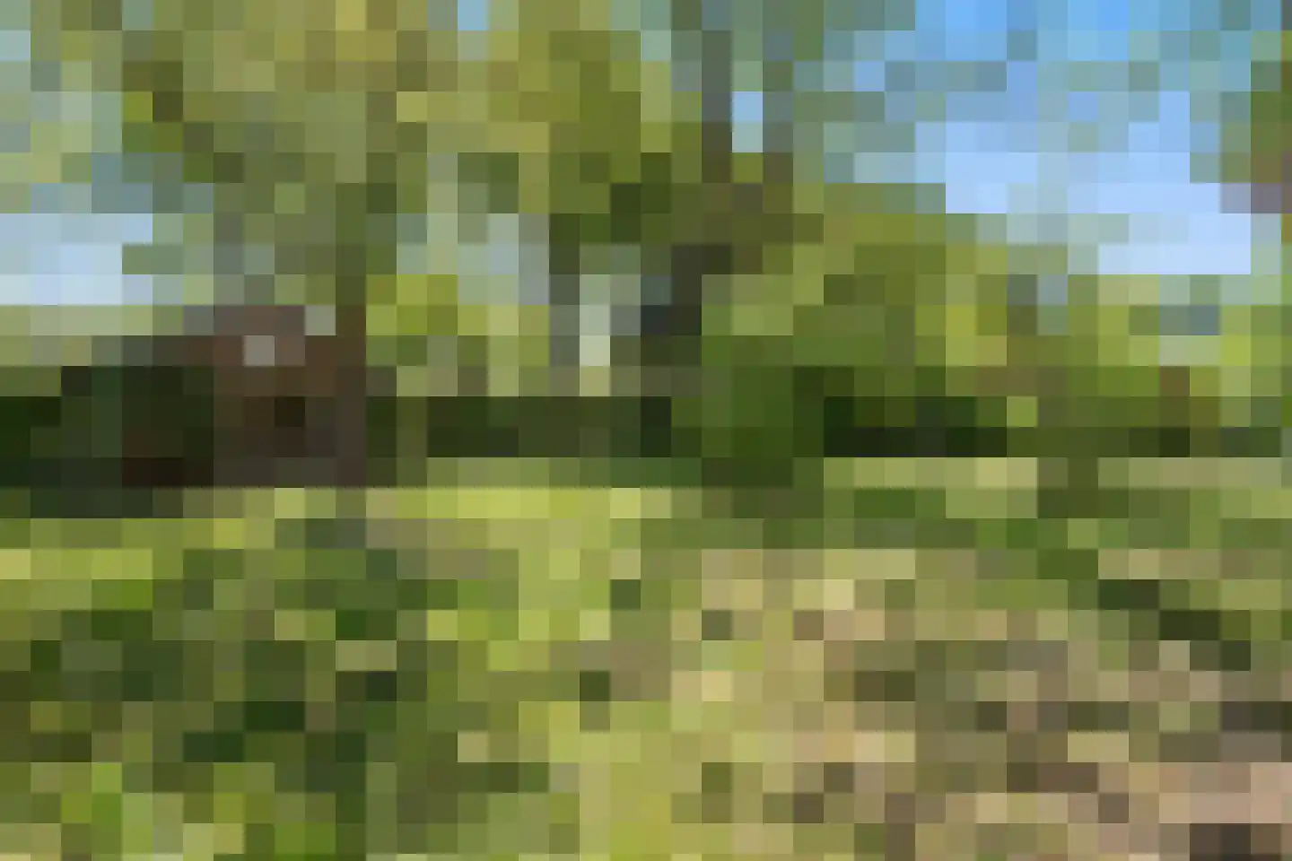 Hoeksestraat 2 Cromvoirt thumbnail 67