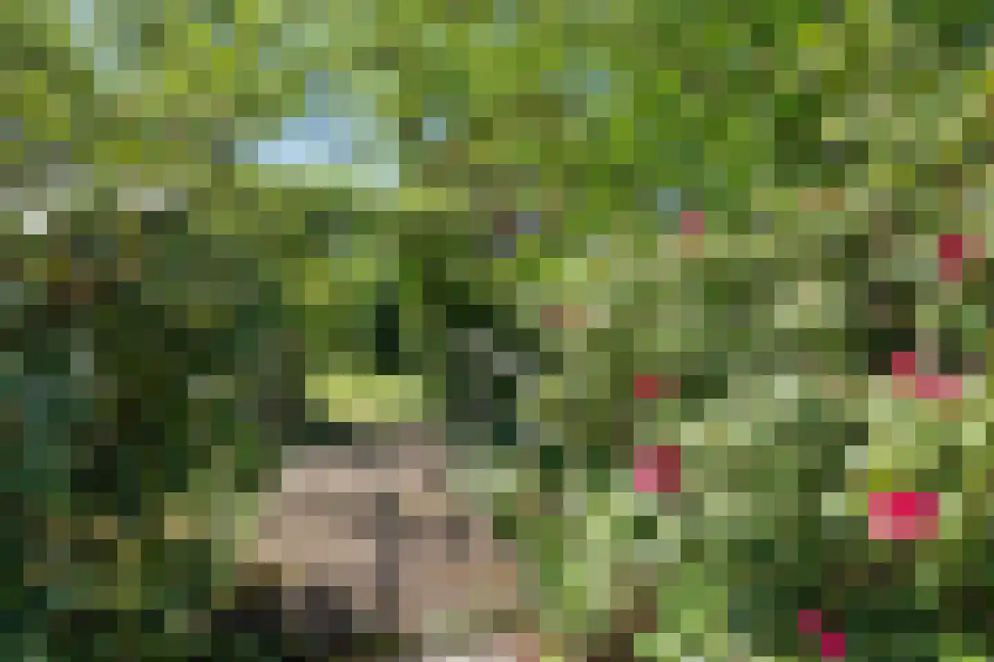 Hoeksestraat 2 Cromvoirt thumbnail 69