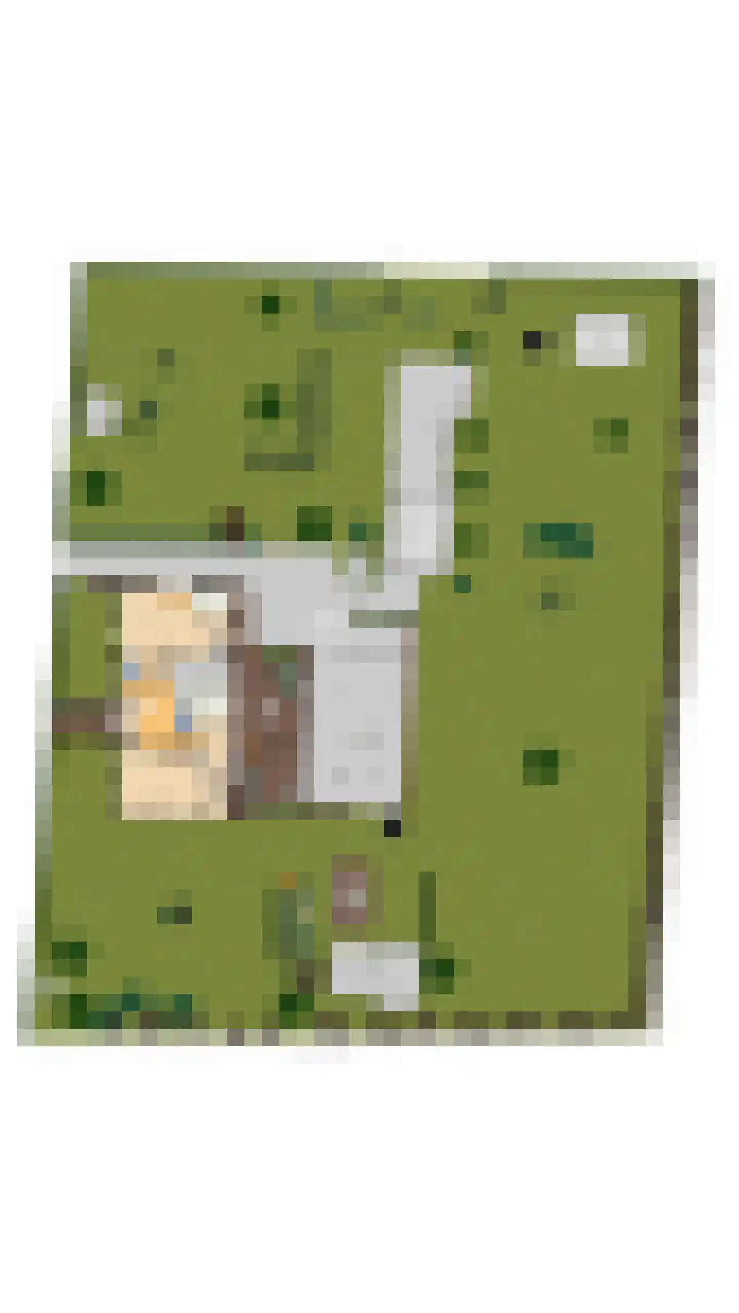 Hoeksestraat 2 Cromvoirt thumbnail 73