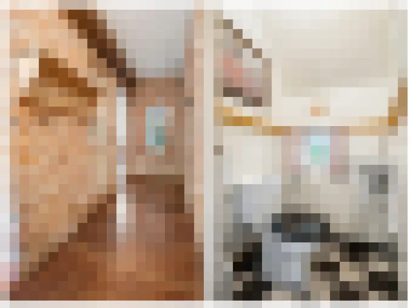 Hoeksestraat 2 Cromvoirt thumbnail 8