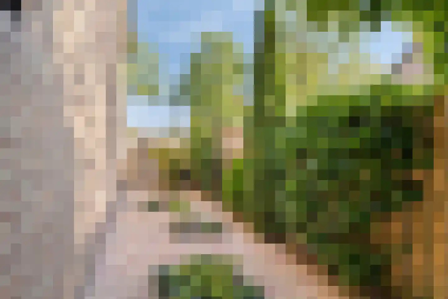 Hoeksestraat 40 Rijen thumbnail 26