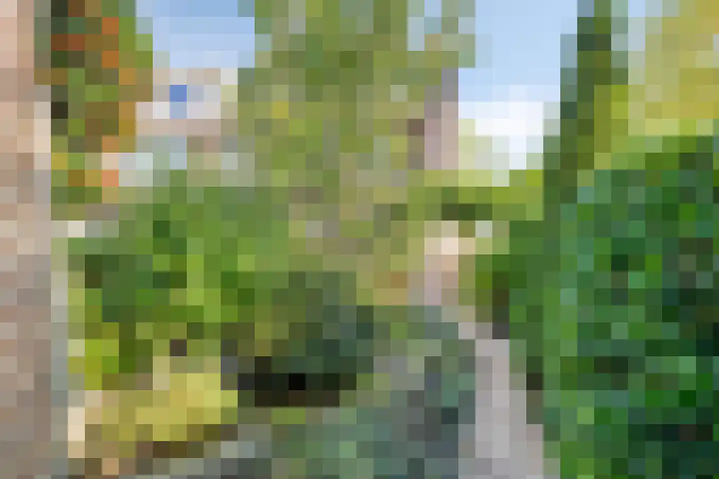 Hoeksestraat 40 Rijen thumbnail 28