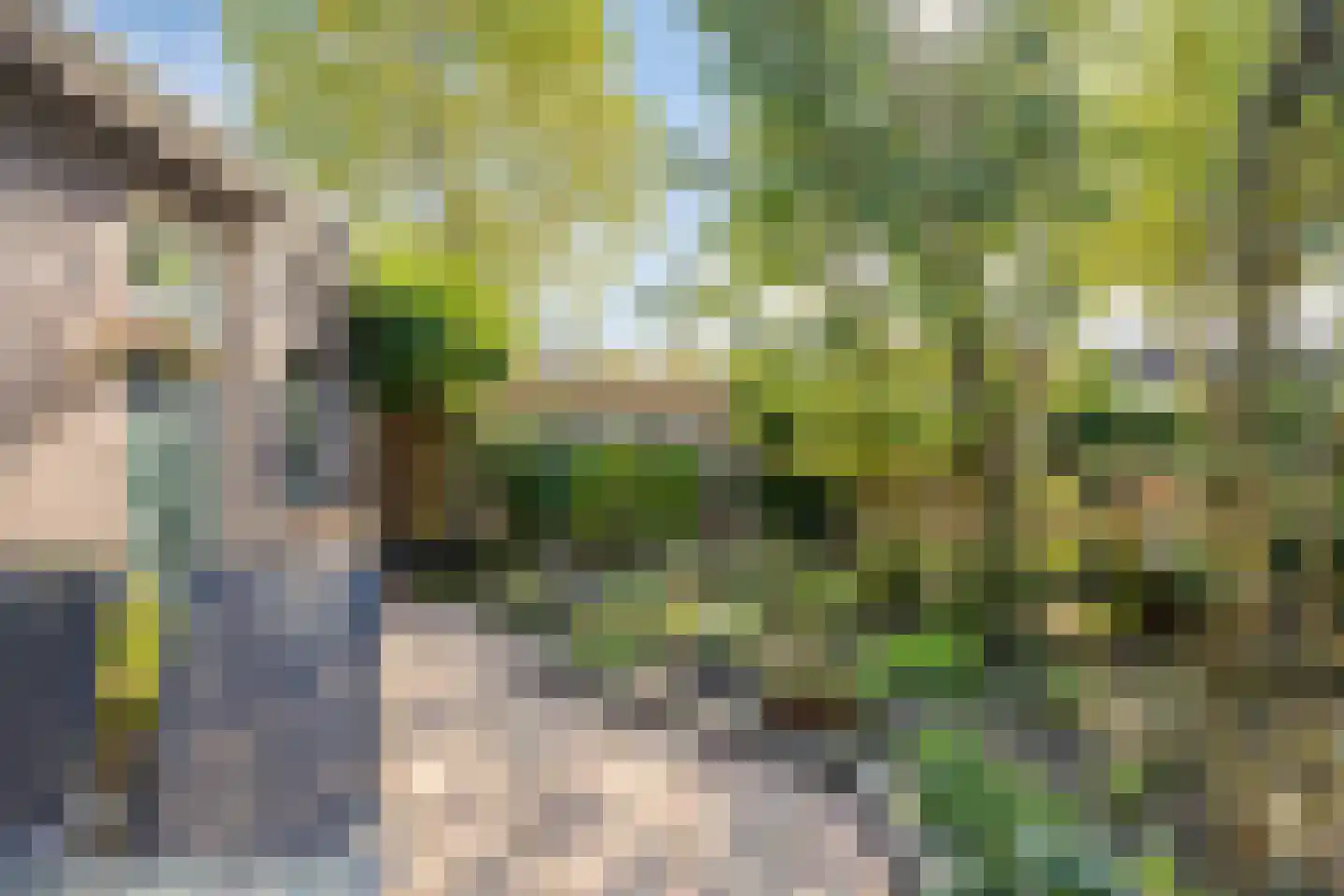 Hoeksestraat 40 Rijen thumbnail 29