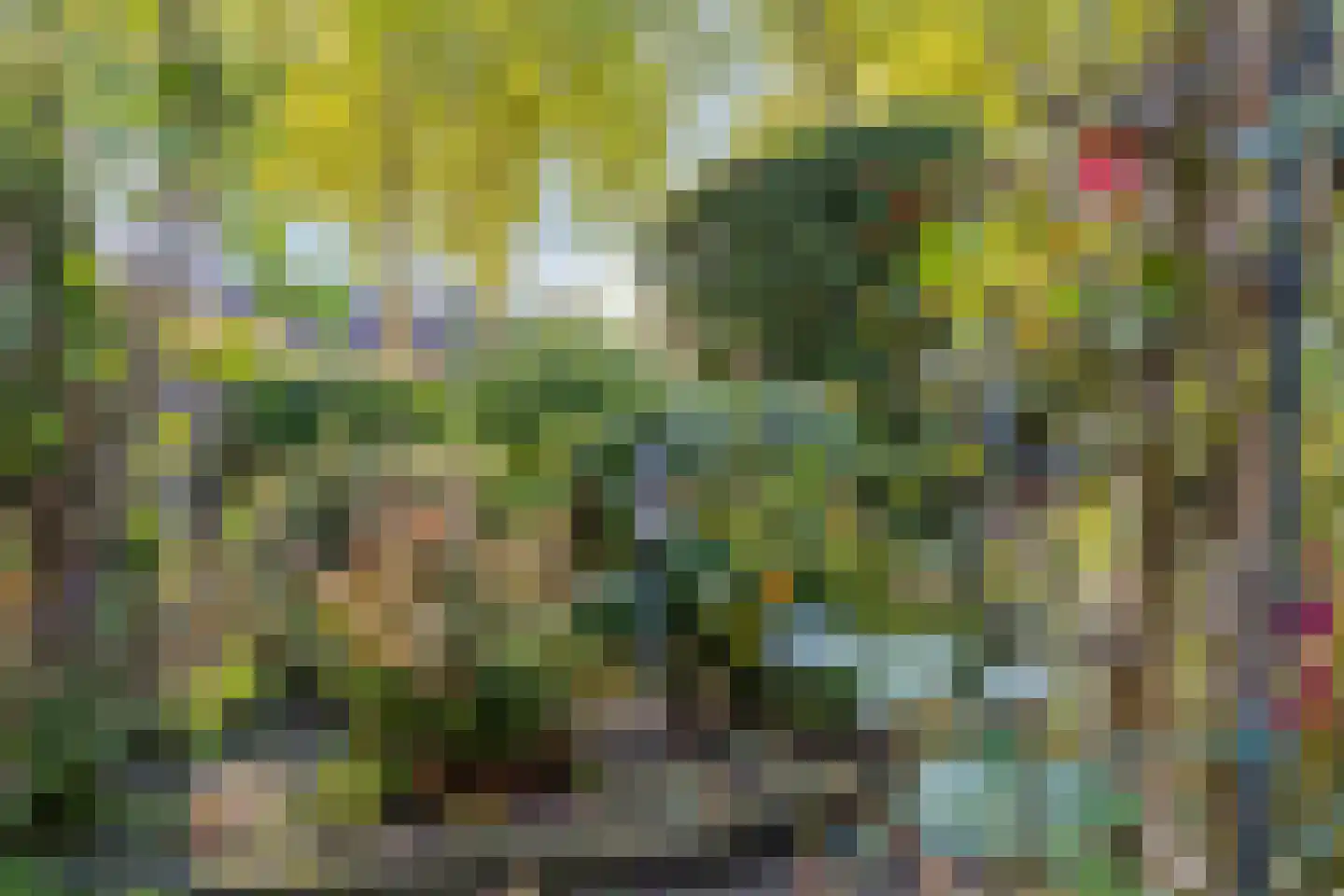 Hoeksestraat 40 Rijen thumbnail 32