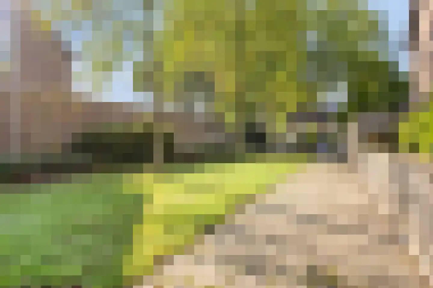 Hoeksestraat 40 Rijen thumbnail 50