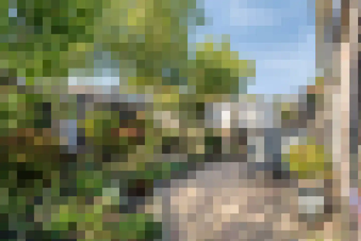 Hoeksestraat 40 Rijen thumbnail 7