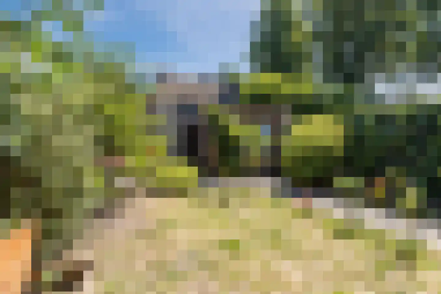Hoeksestraat 45 Rijen thumbnail 19
