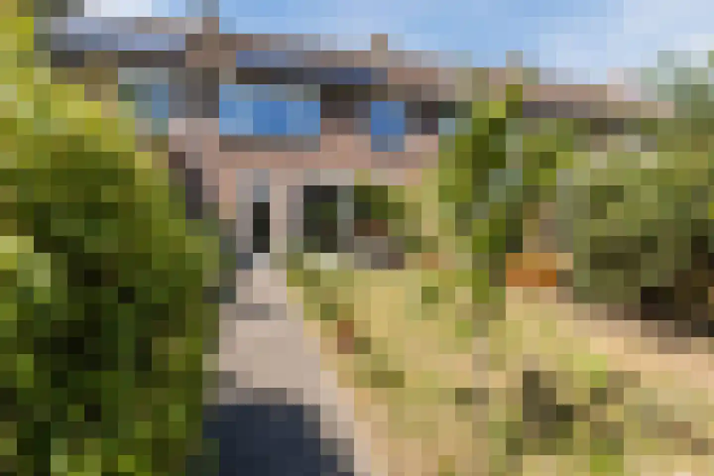 Hoeksestraat 45 Rijen thumbnail 20