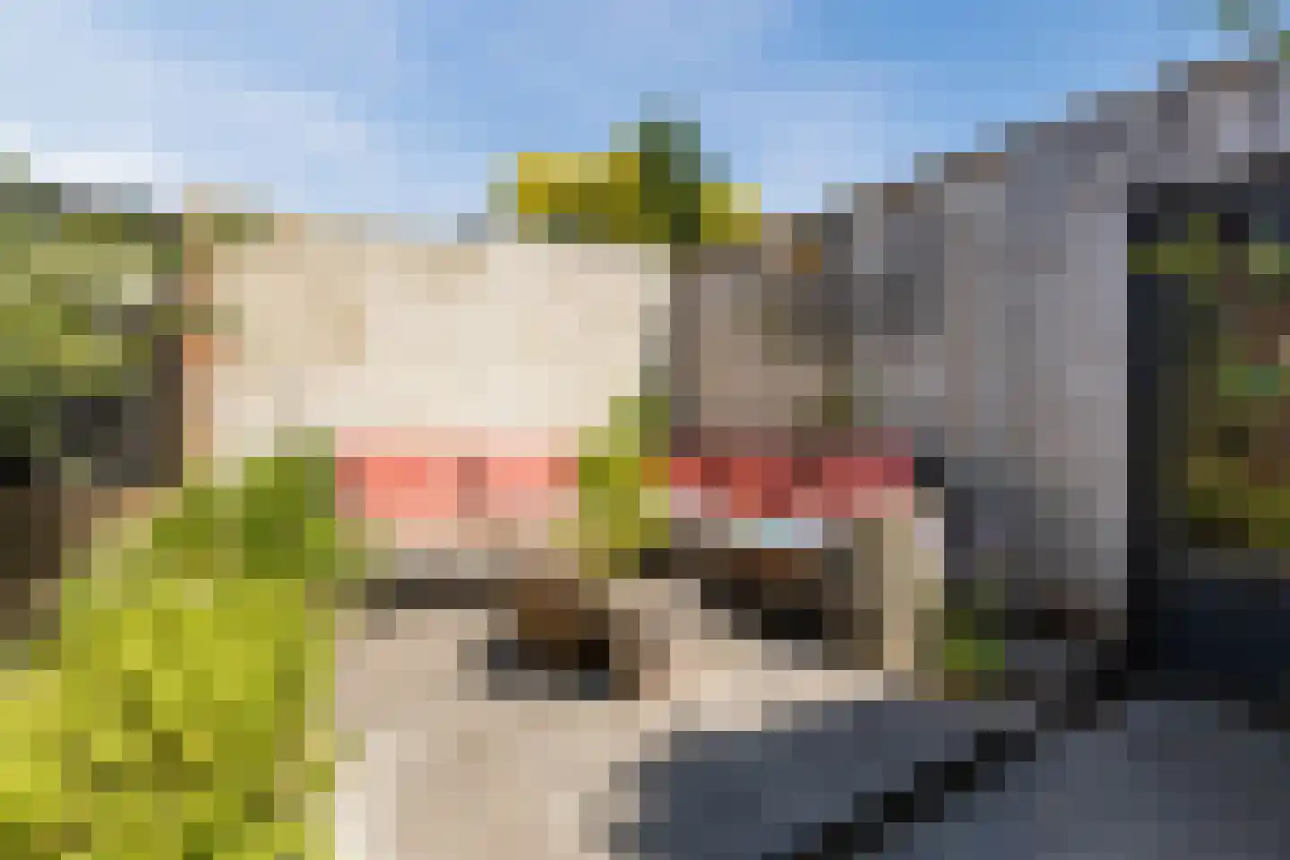 Hoeksestraat 45 Rijen thumbnail 22