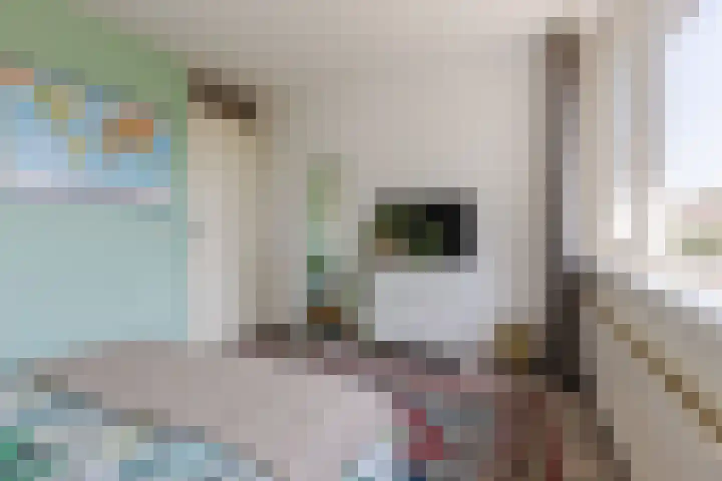 Hoeksestraat 45 Rijen thumbnail 32